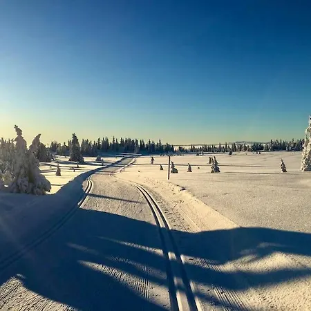 New Log With Sauna, Waxing Shed & Bench At Prázdninový dům