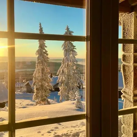 New Log With Sauna, Waxing Shed & Bench At