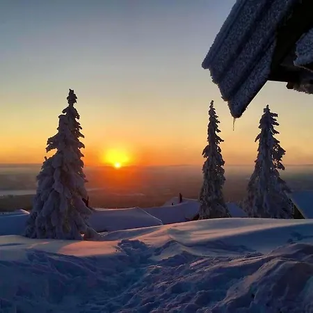 New Log With Sauna, Waxing Shed & Bench At * Sjusjøen