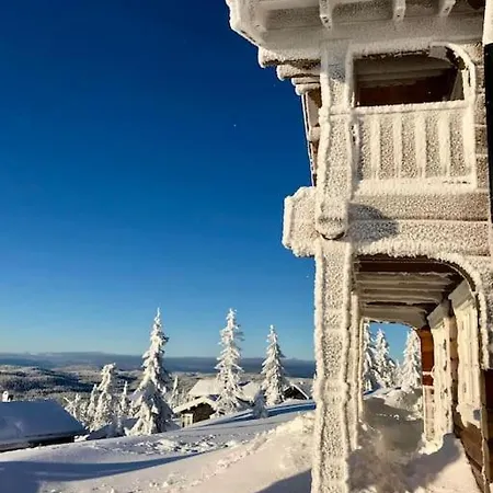 펜션 New Log With Sauna, Waxing Shed & Bench At