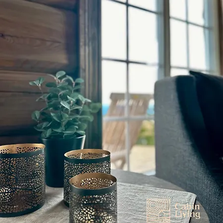 펜션 New Log With Sauna, Waxing Shed & Bench At