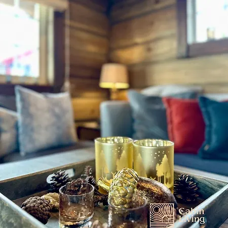 펜션 New Log With Sauna, Waxing Shed & Bench At Sjusjøen